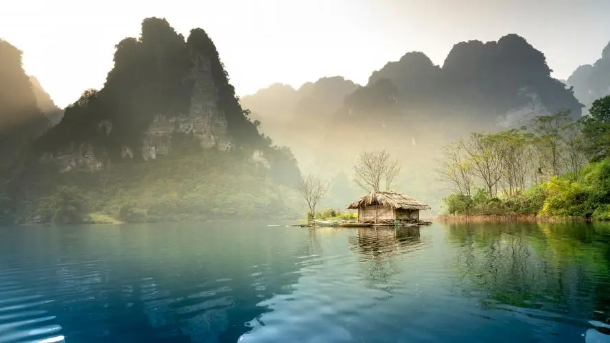 全自动可靠性独特